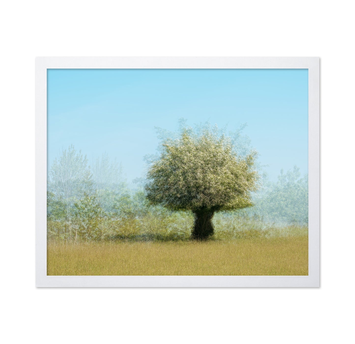 Tree With Flowers