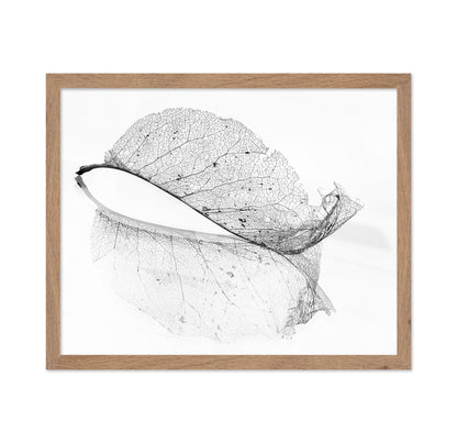 The Old Leaf