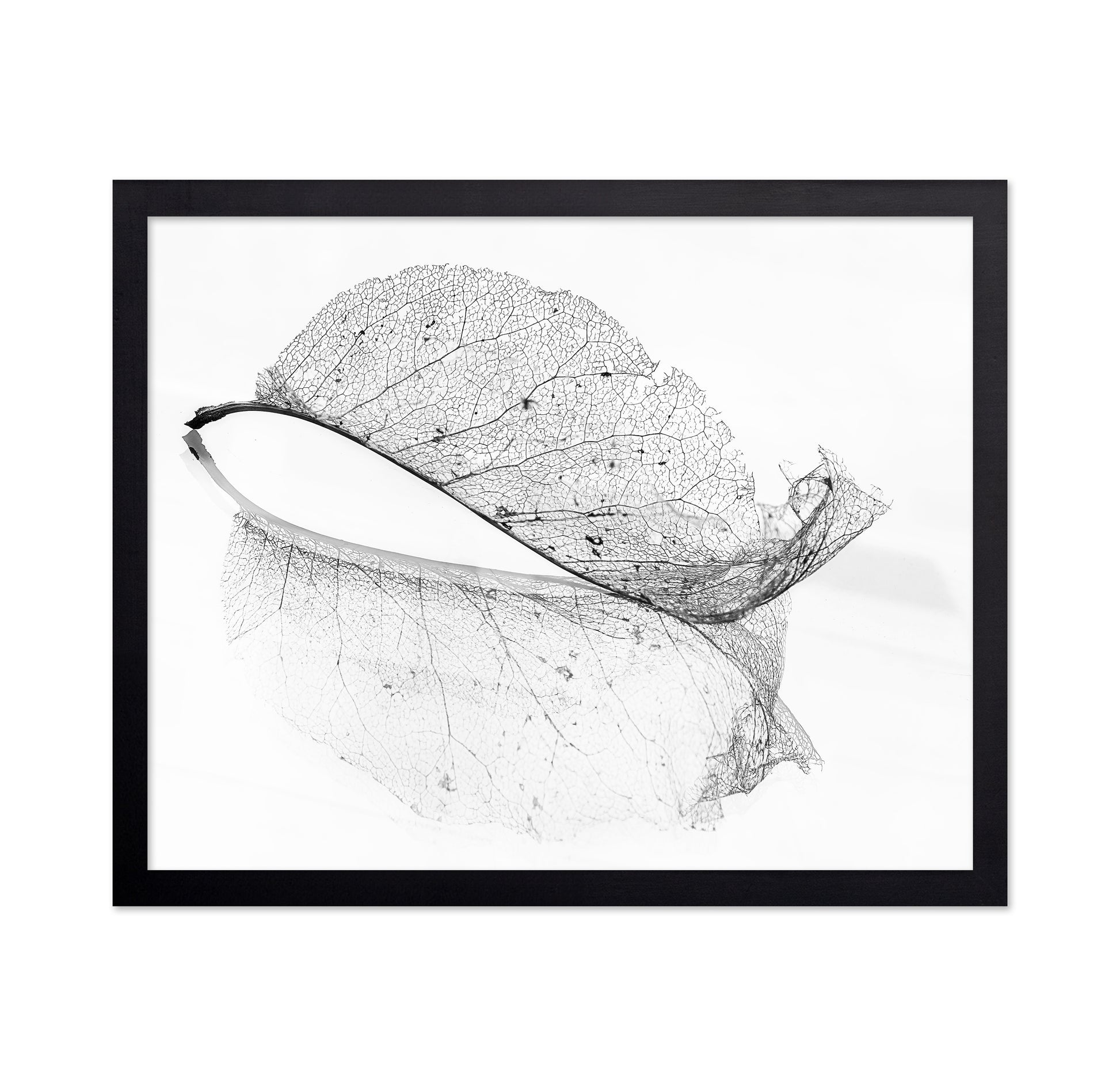 The Old Leaf