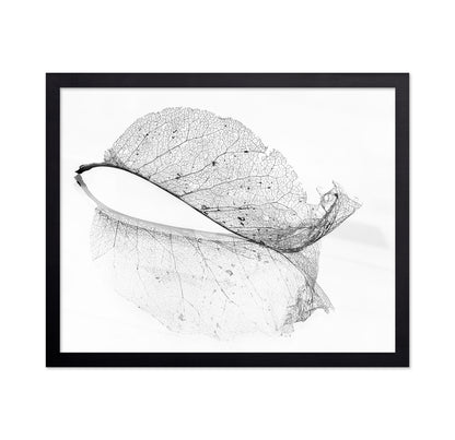 The Old Leaf