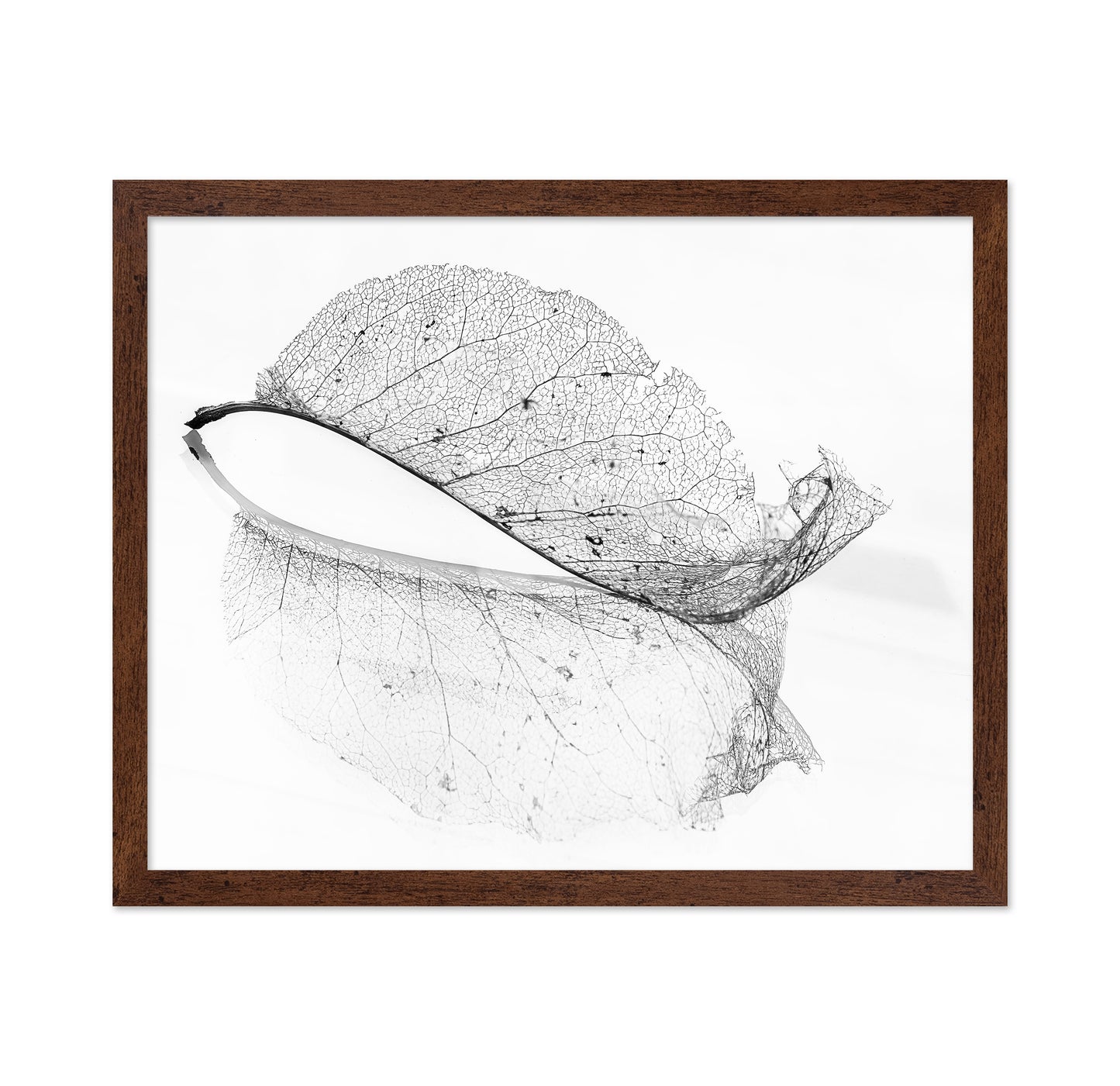 The Old Leaf