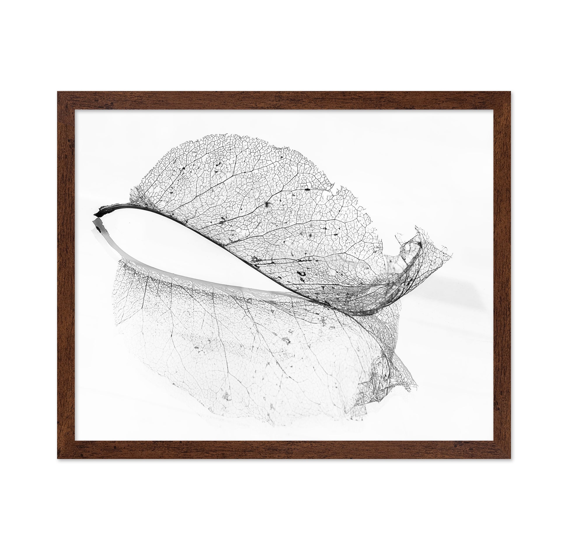 The Old Leaf