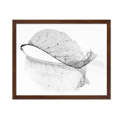 The Old Leaf