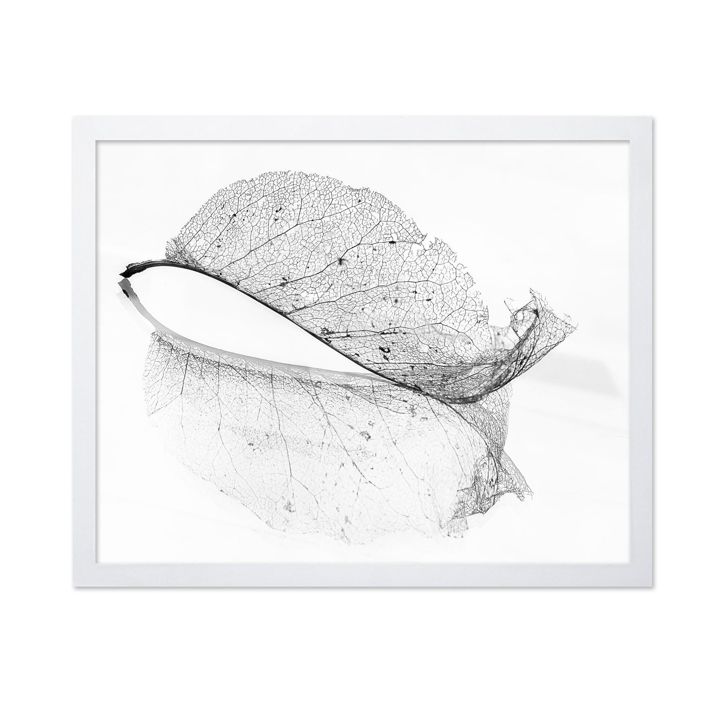The Old Leaf