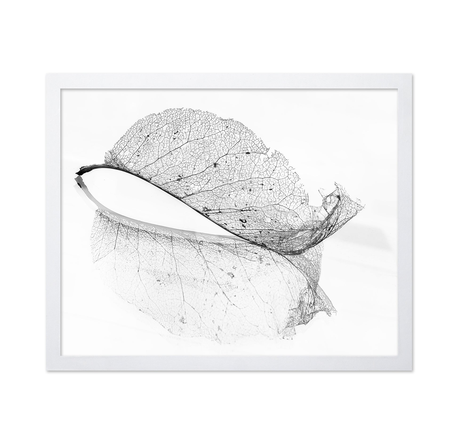 The Old Leaf