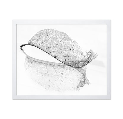 The Old Leaf