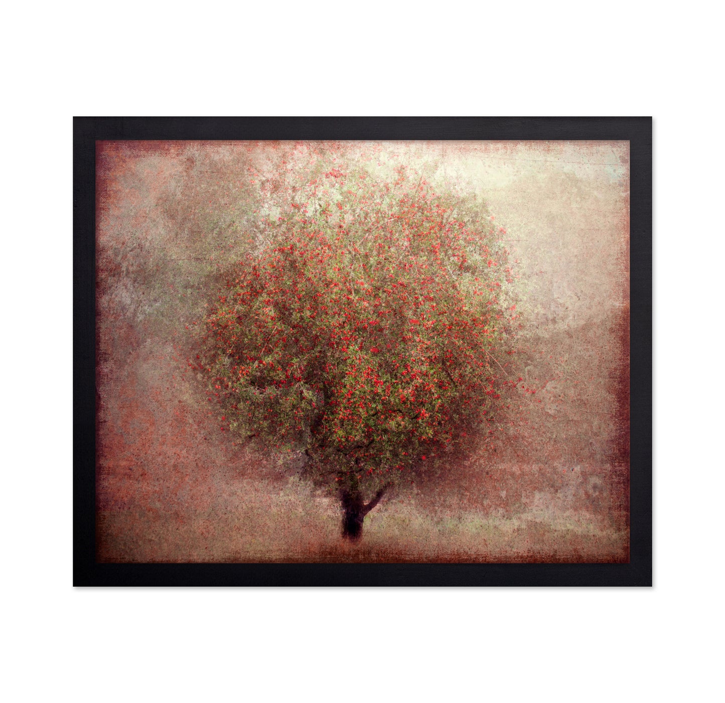 Apple Tree