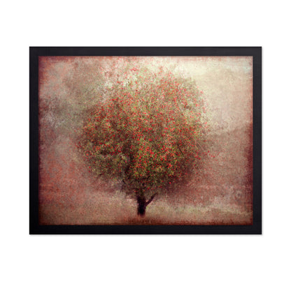Apple Tree