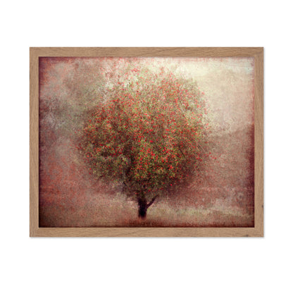 Apple Tree