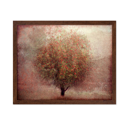 Apple Tree