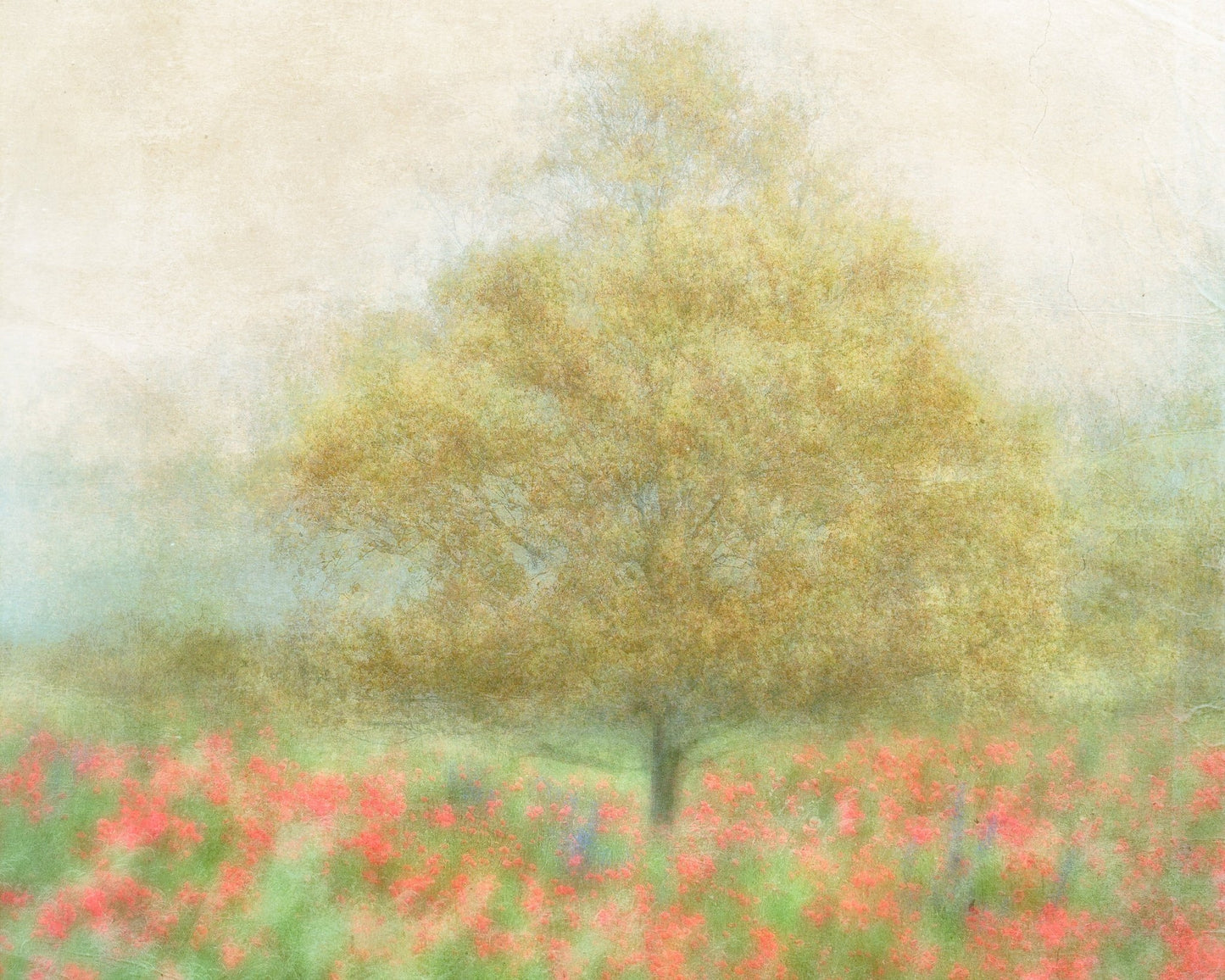 A Dream of Summer