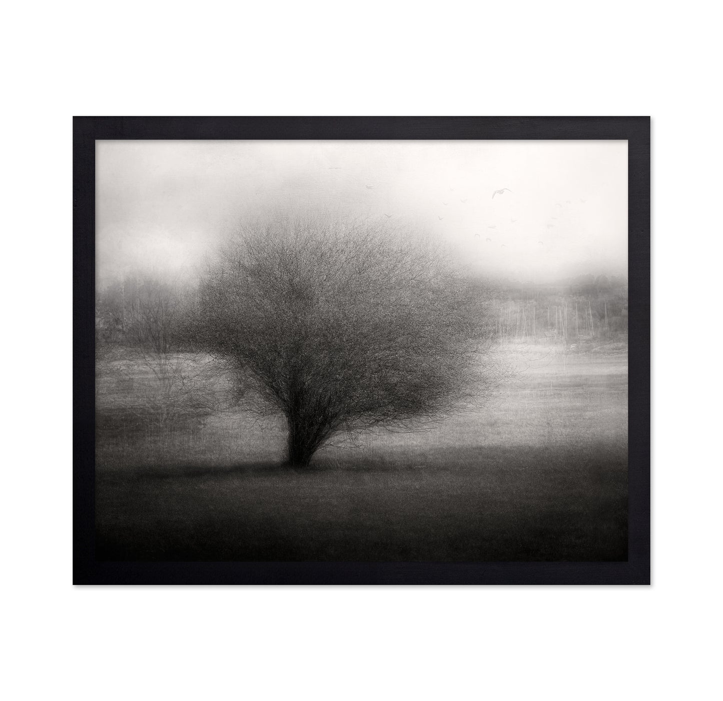 On The Meadow