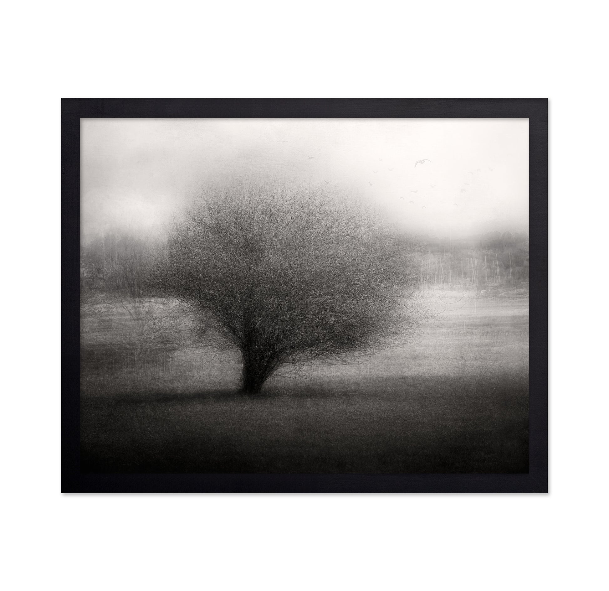 On The Meadow