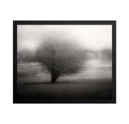 On The Meadow