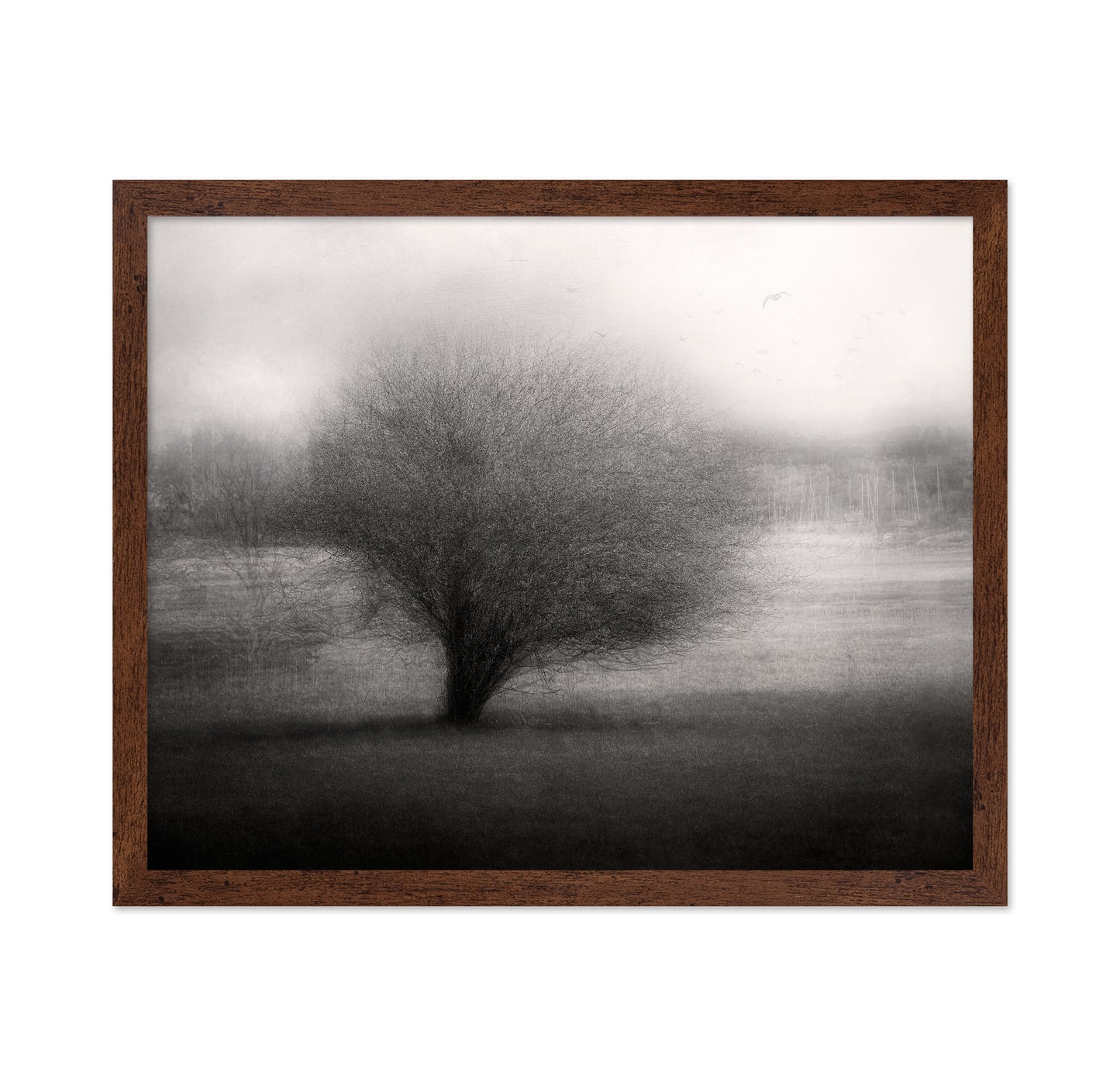 On The Meadow