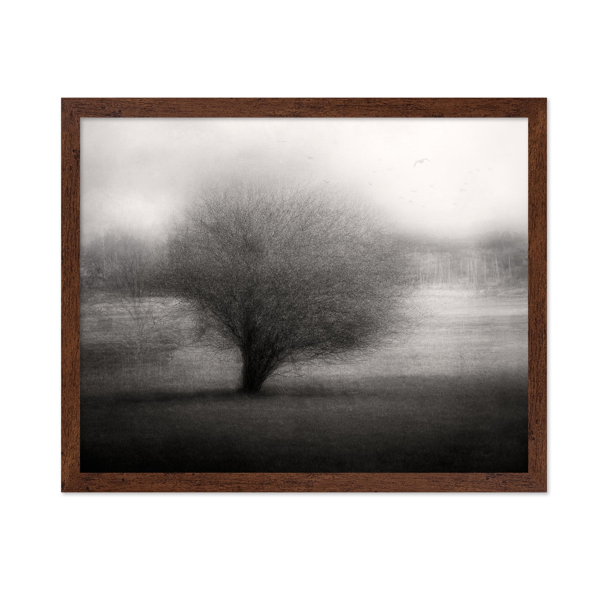 On The Meadow