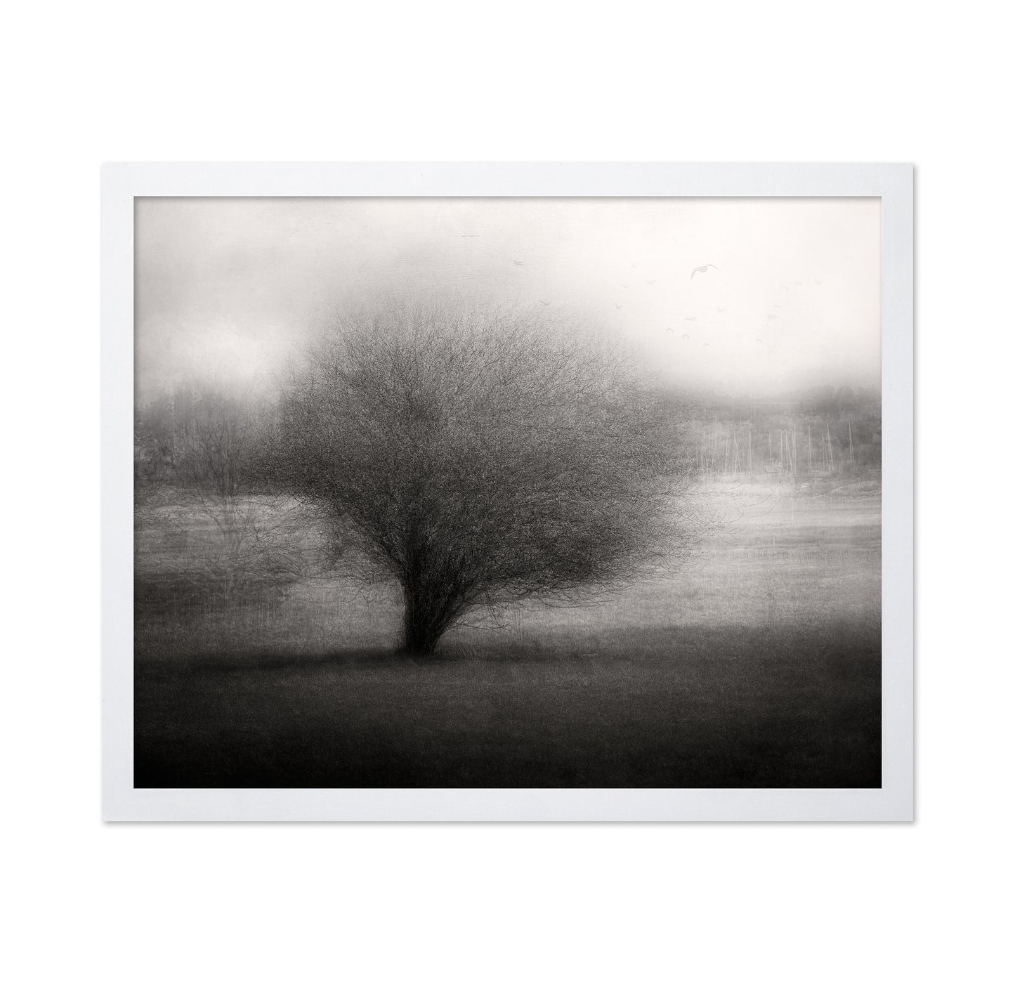 On The Meadow