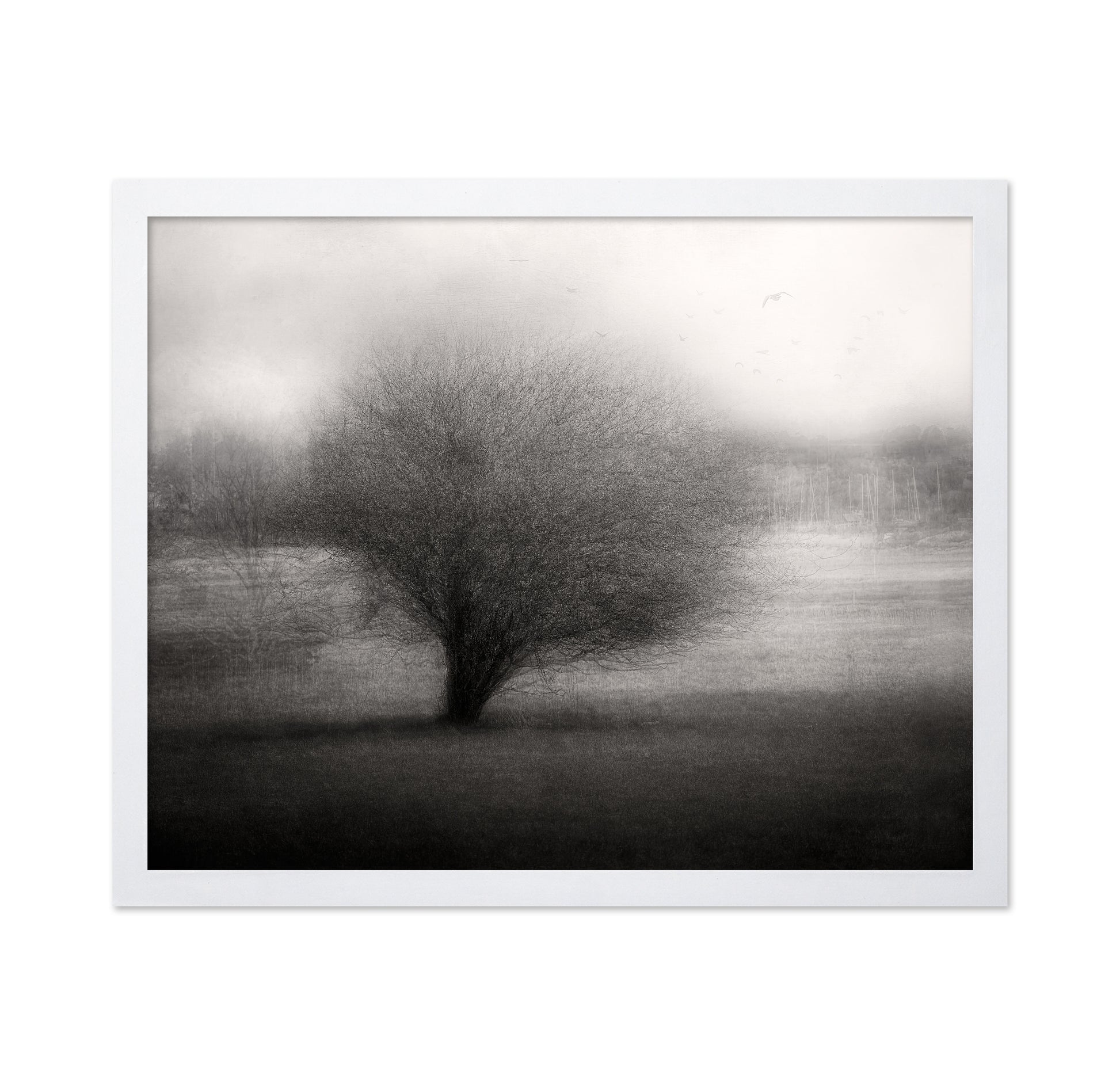On The Meadow
