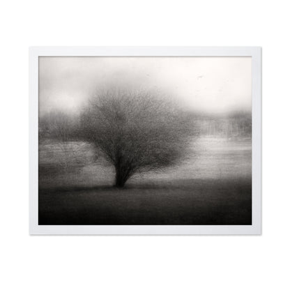 On The Meadow