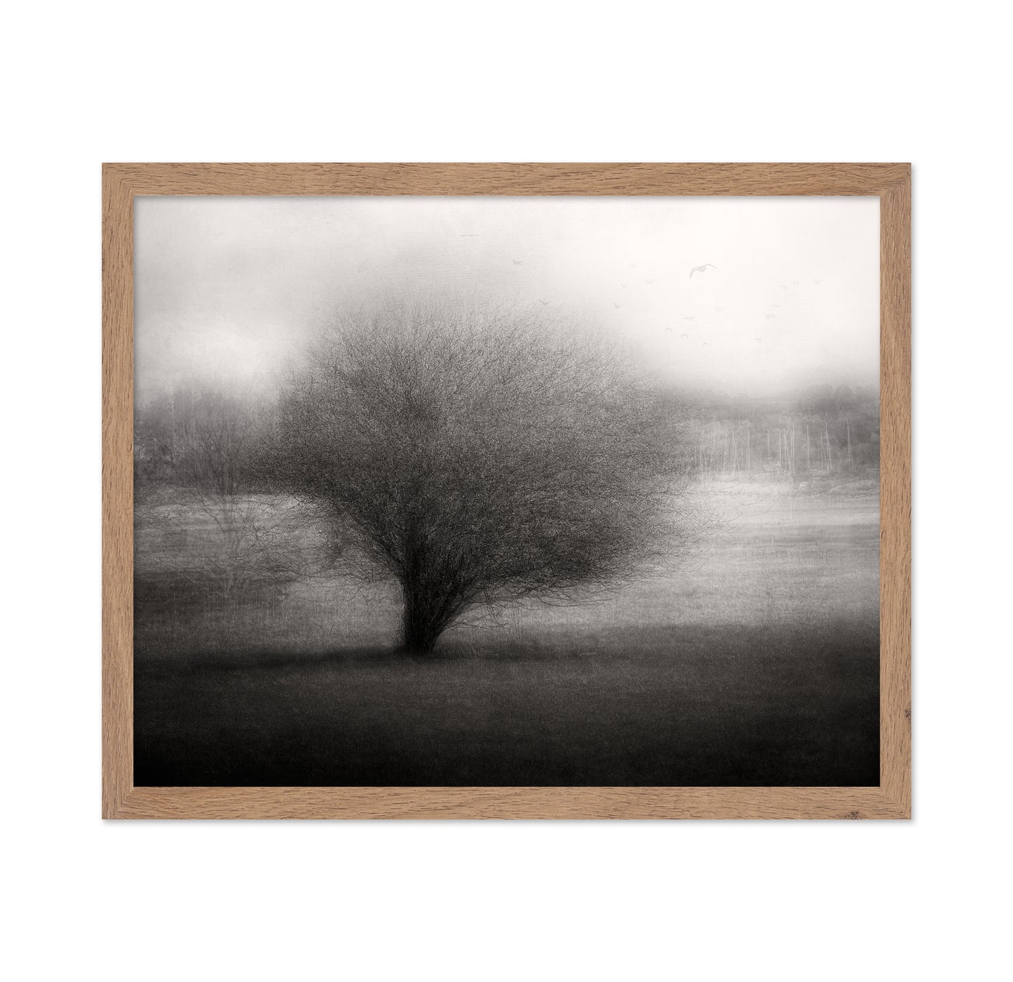 On The Meadow