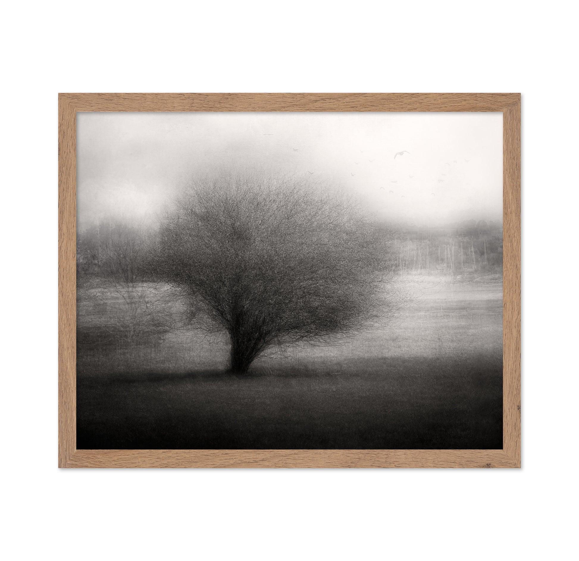 On The Meadow