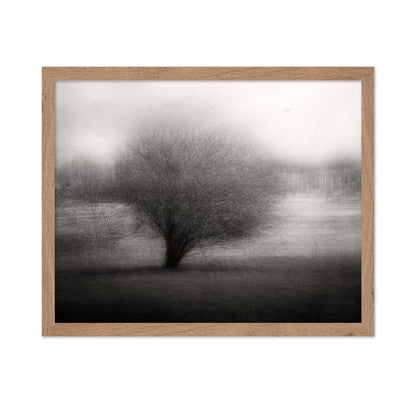 On The Meadow