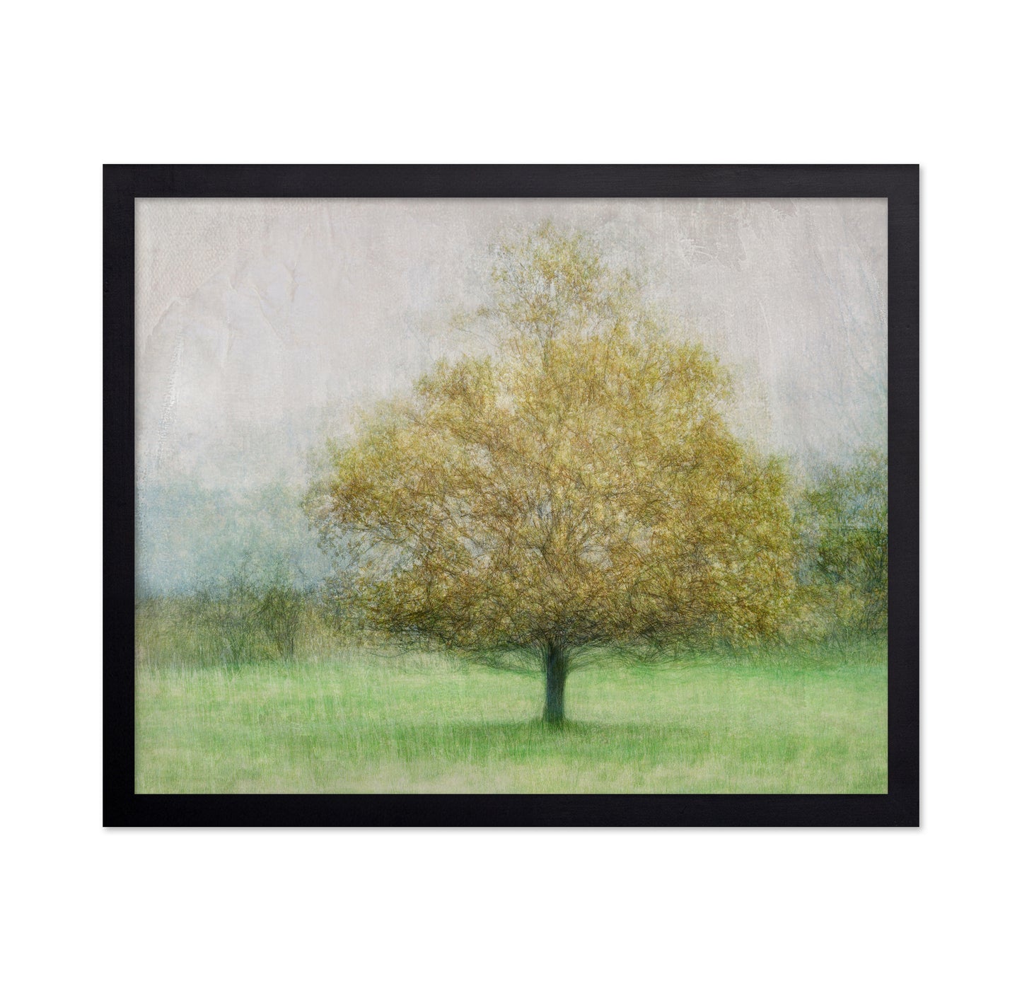 Golden Tree in Mist