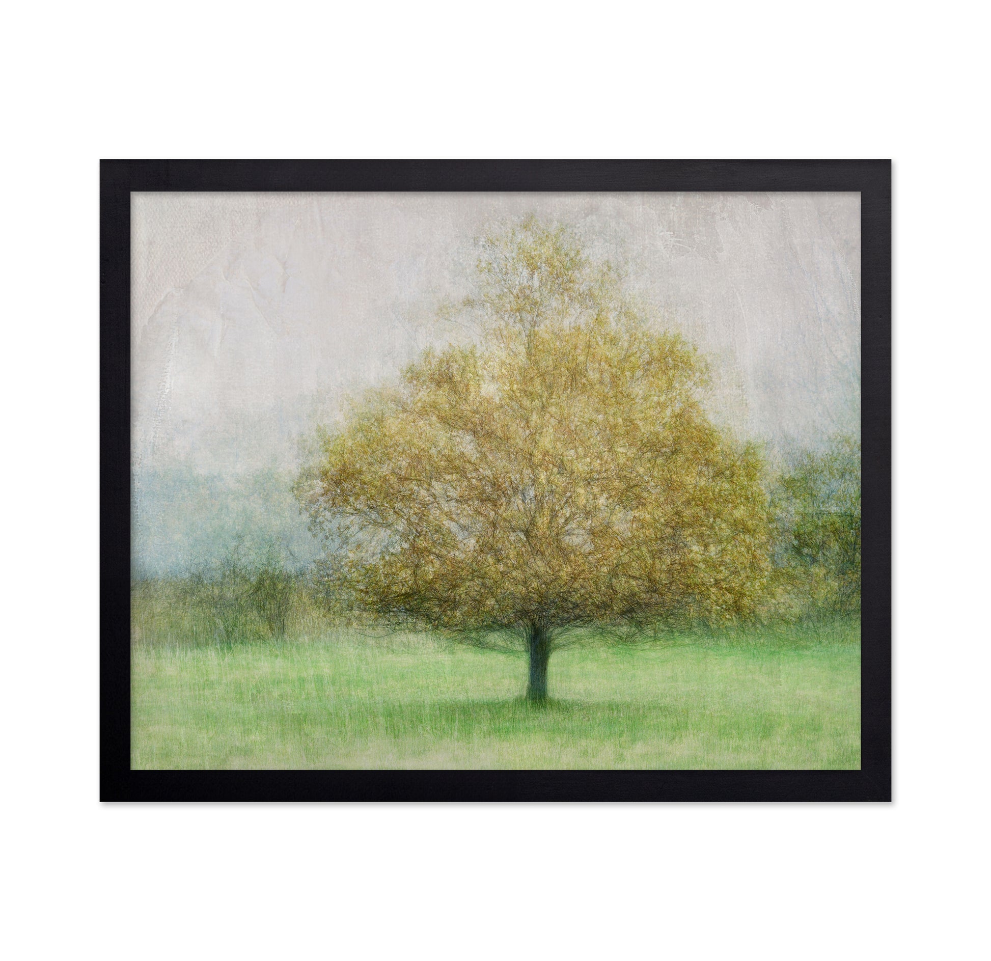 Golden Tree in Mist