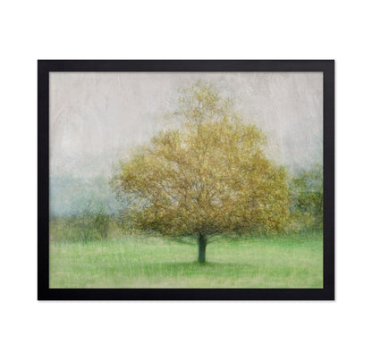 Golden Tree in Mist