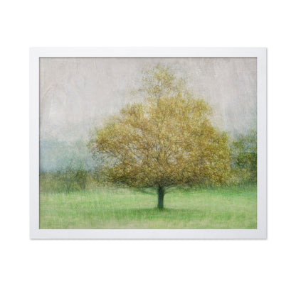 Golden Tree in Mist