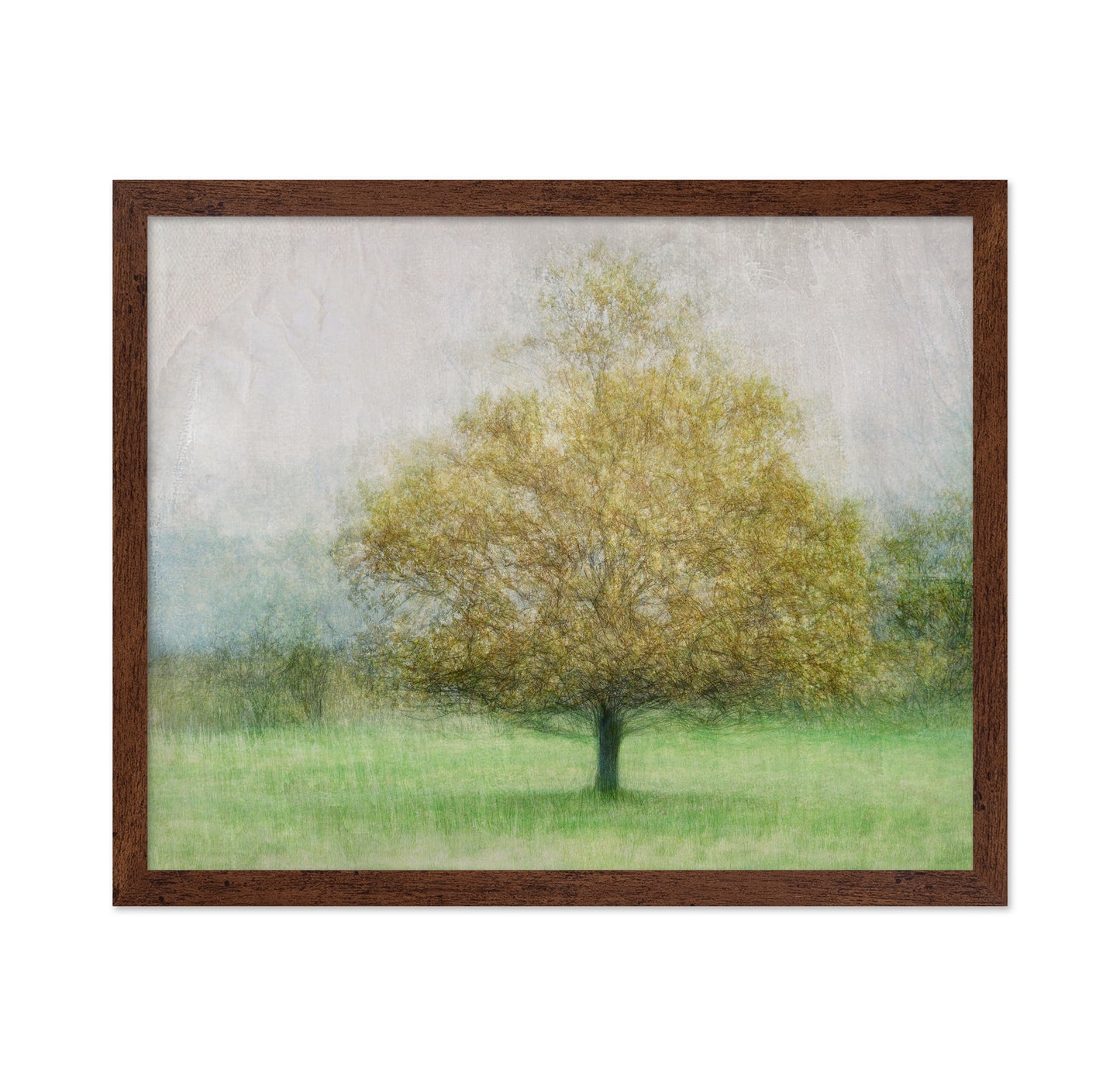 Golden Tree in Mist