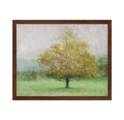 Golden Tree in Mist