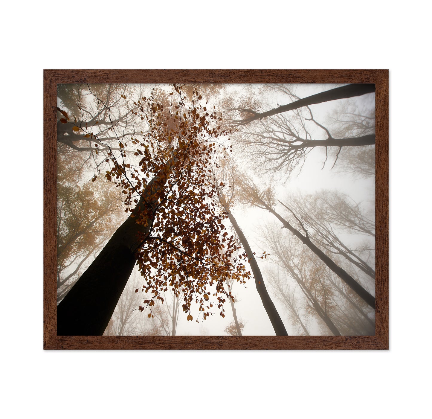 Fall