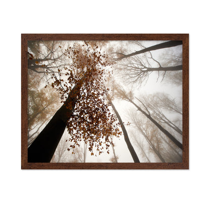 Fall