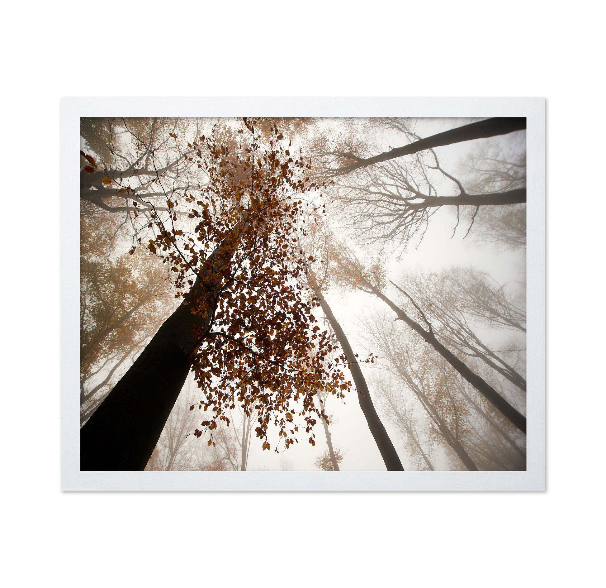 Fall