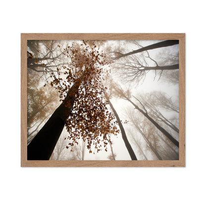 Fall
