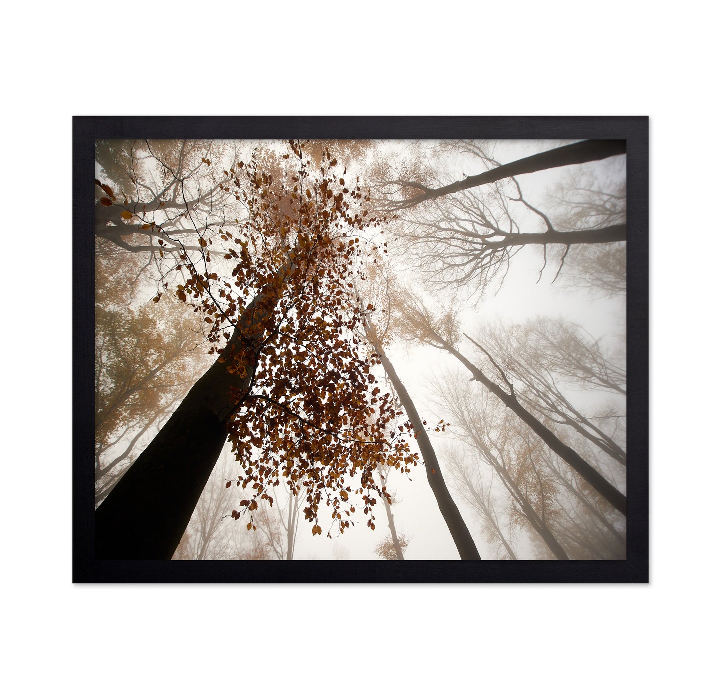 Fall