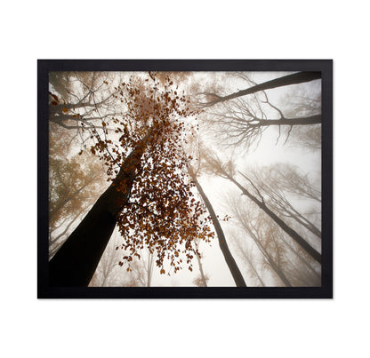 Fall