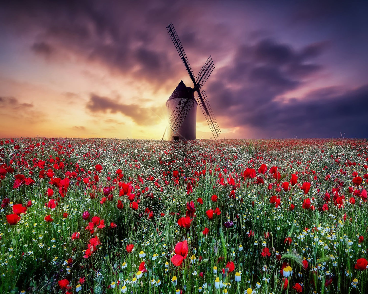 Spring by the Windmill