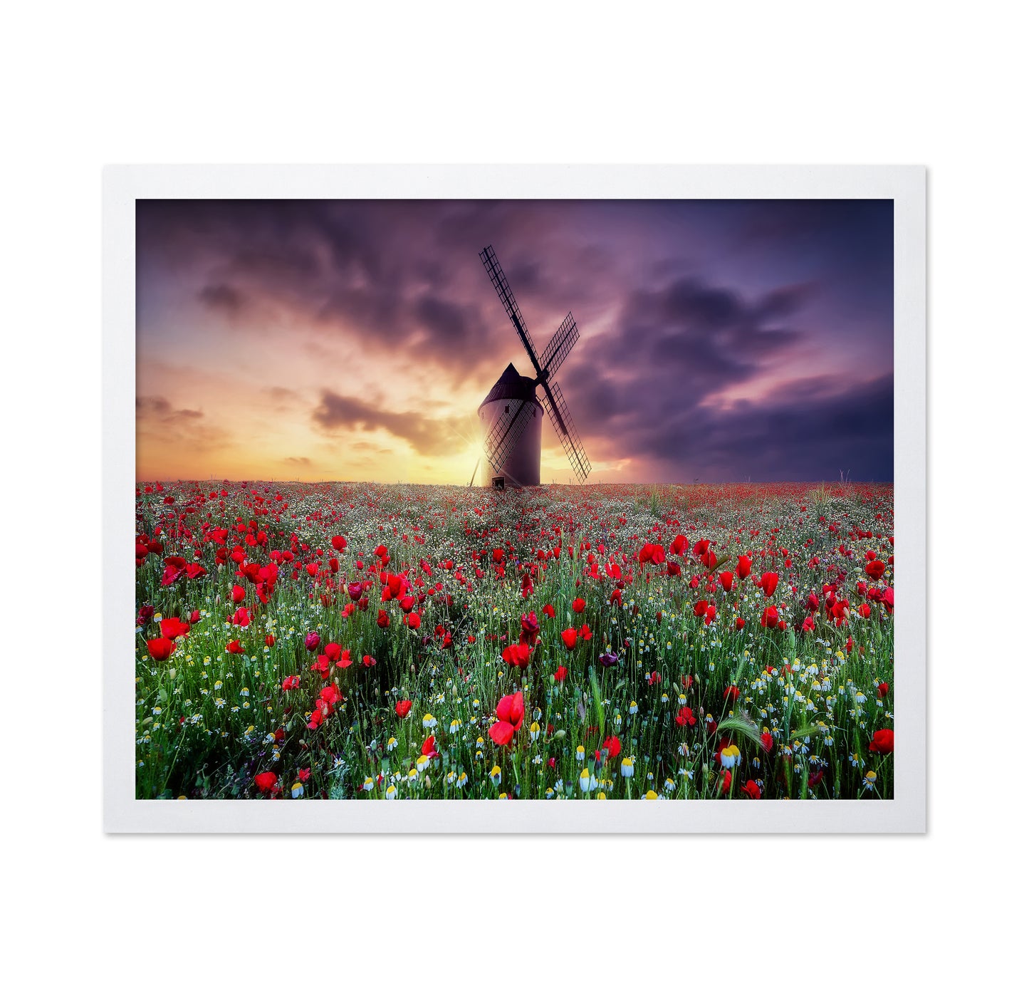 Spring by the Windmill