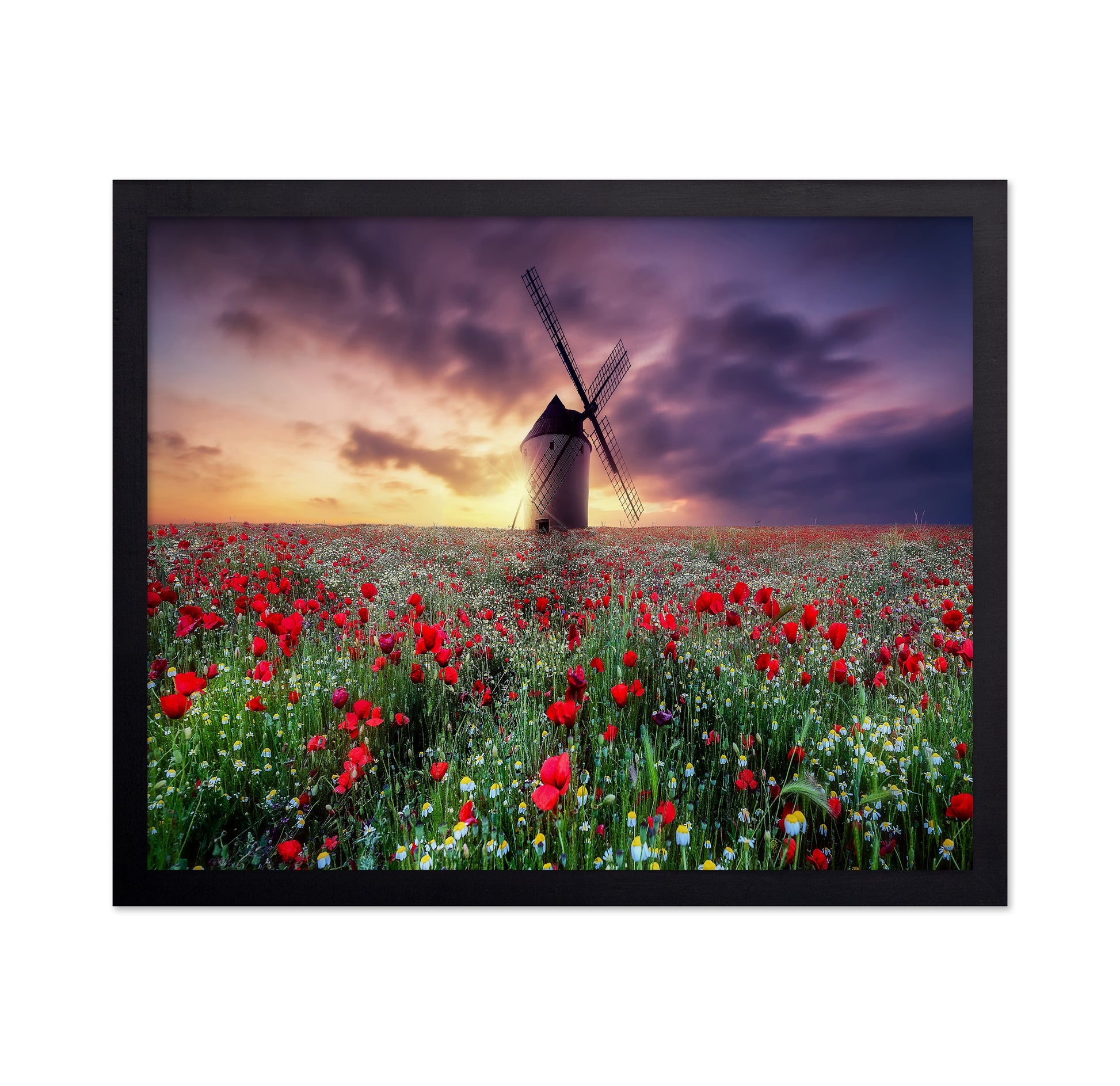 Spring by the Windmill