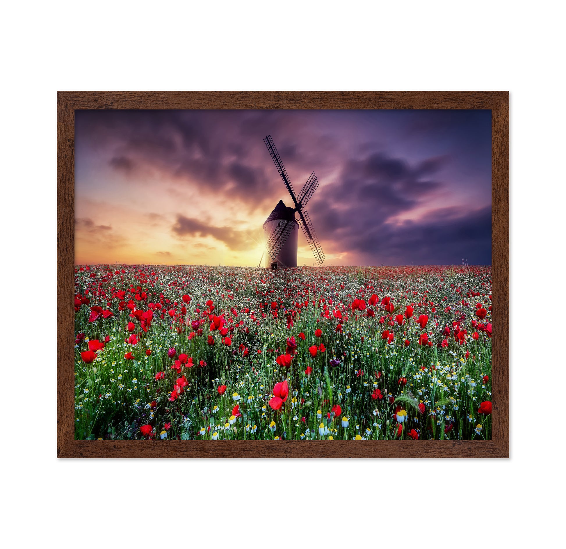 Spring by the Windmill