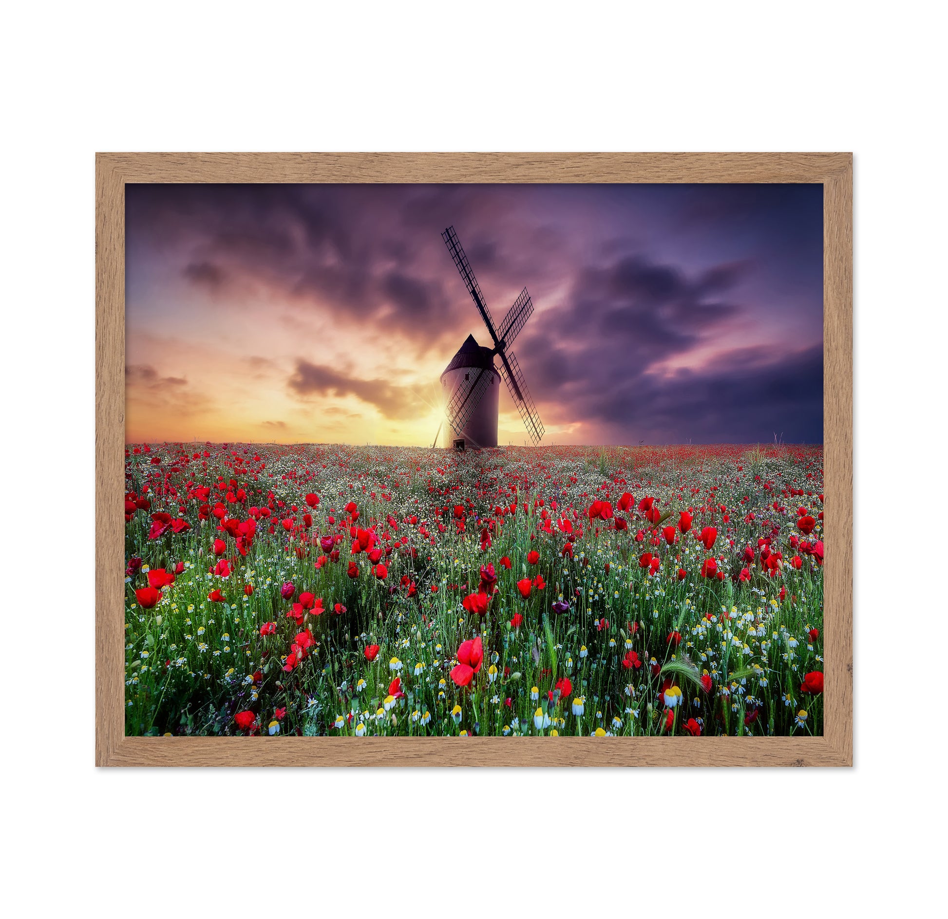Spring by the Windmill