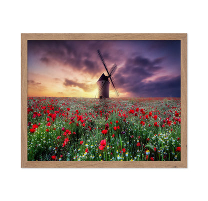 Spring by the Windmill