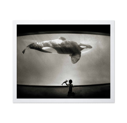 Within the Orca's Domain