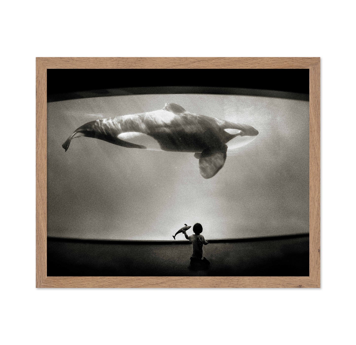 Within the Orca's Domain