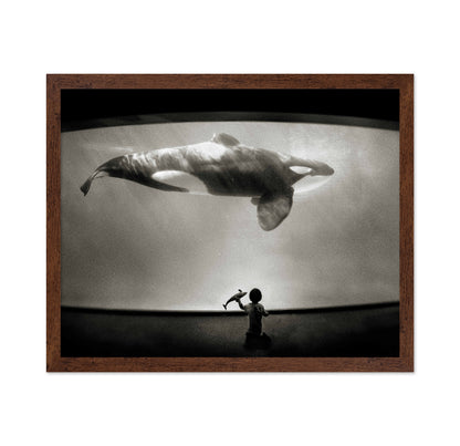 Within the Orca's Domain