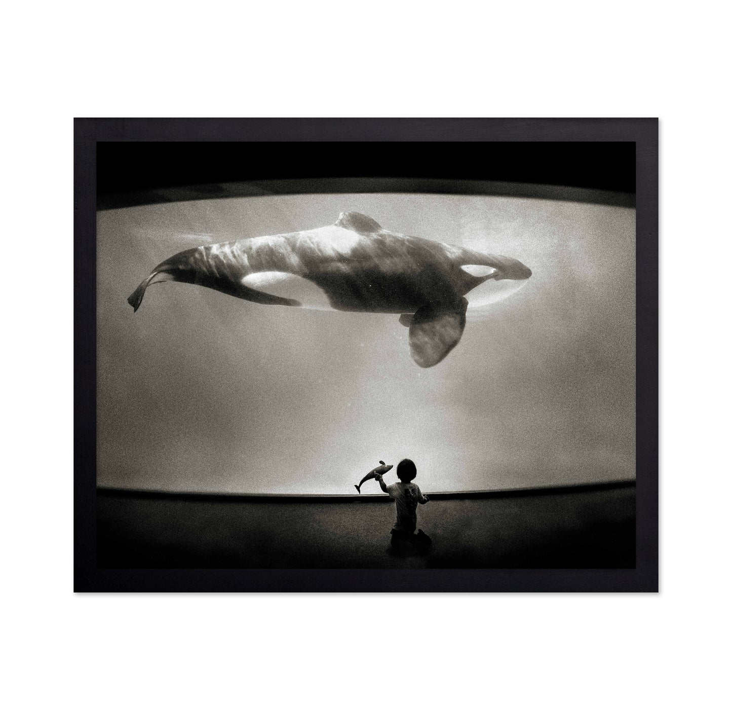 Within the Orca's Domain