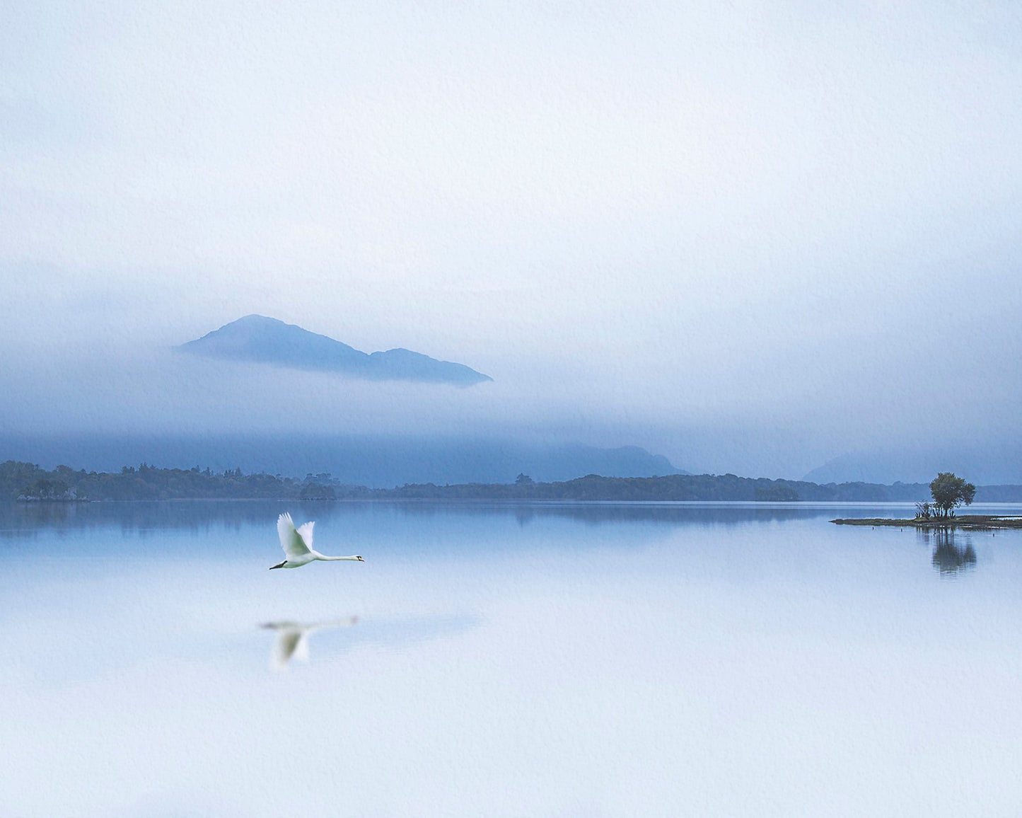 The Blue Solitude