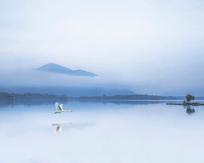 The Blue Solitude